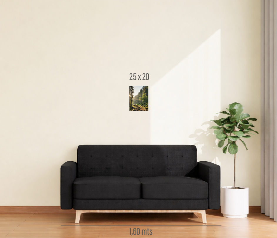 Cuadro 1 pieza 25x20