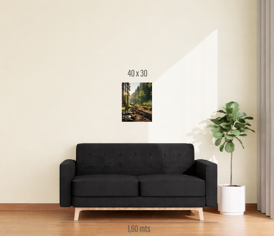 Cuadro 1 pieza 40x30