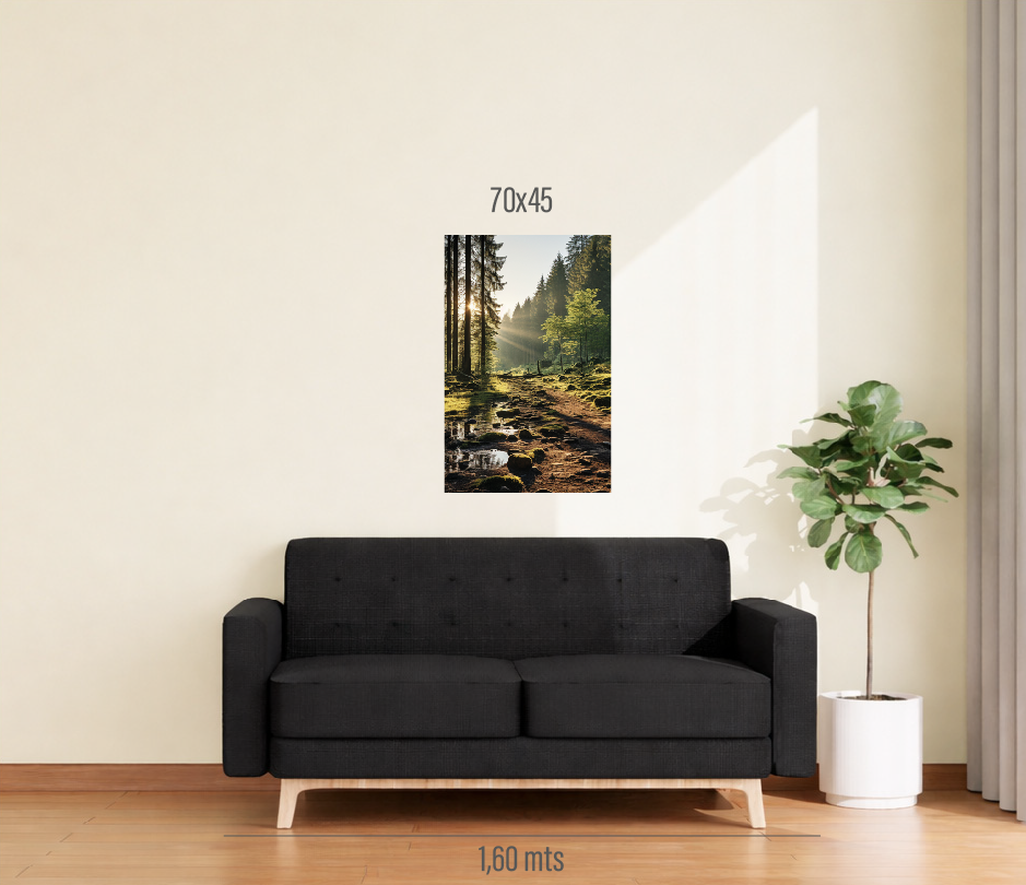 Cuadro 1 pieza 70x45